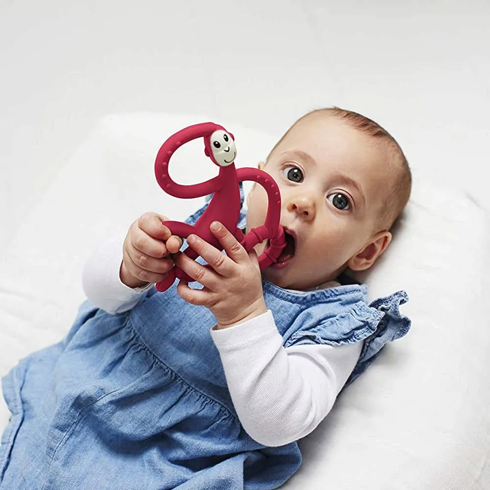 Matchstick Monkey Teething Dancing Monkey Toy and Toothbrush - Red